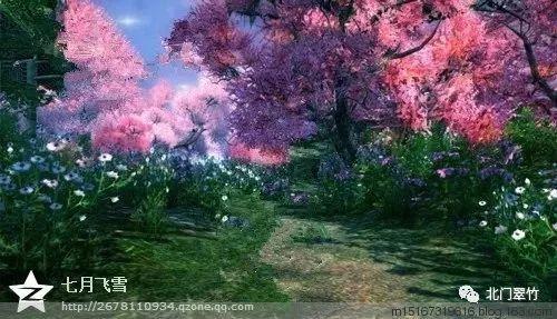 父母让八岁孩子休学一周专打游戏，用魔法打败魔法的教育方法你赞同吗？游戏画面